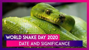 World Snake Day 2020: Date & Significance Of The Day Raising Awareness About Different Snake Species