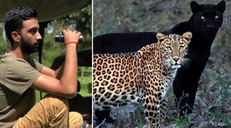 Black Panther, Leopardess Captured in One Frame After Long Wait in Kabini Forest