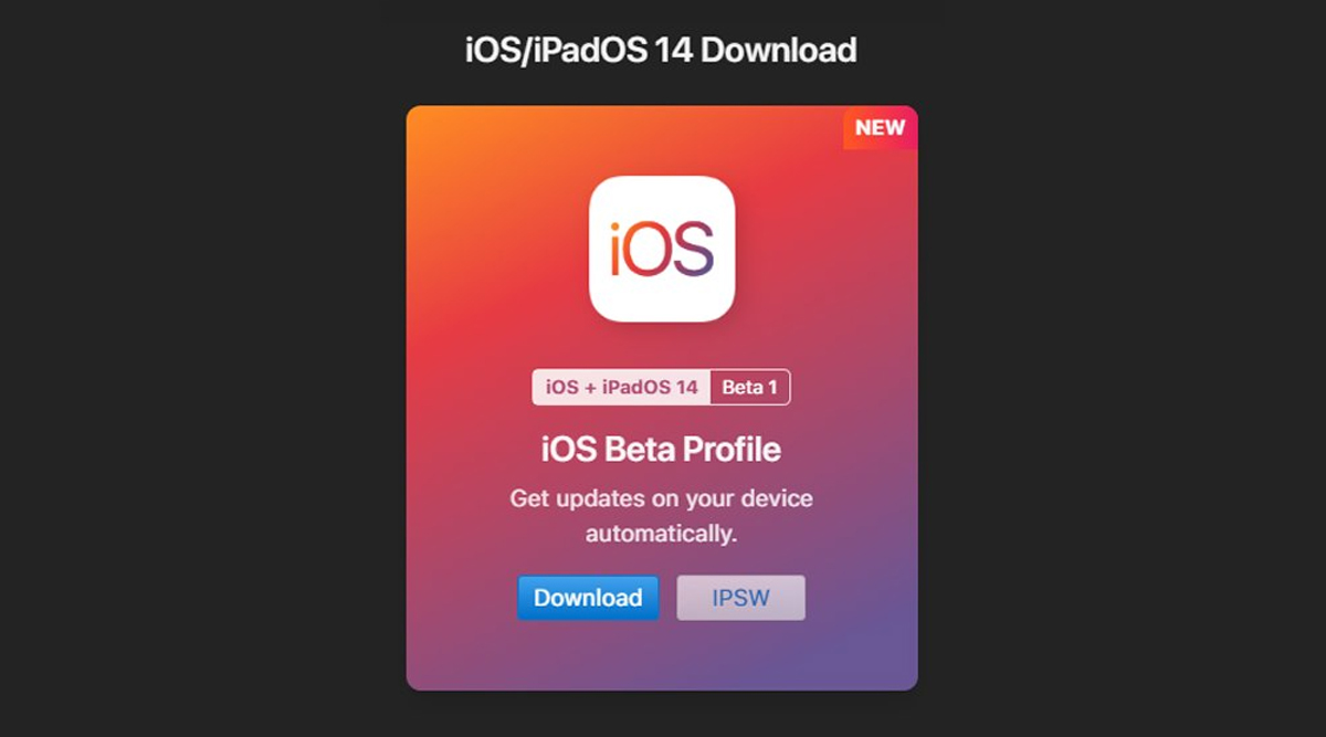 beta profile ios 14.0 download