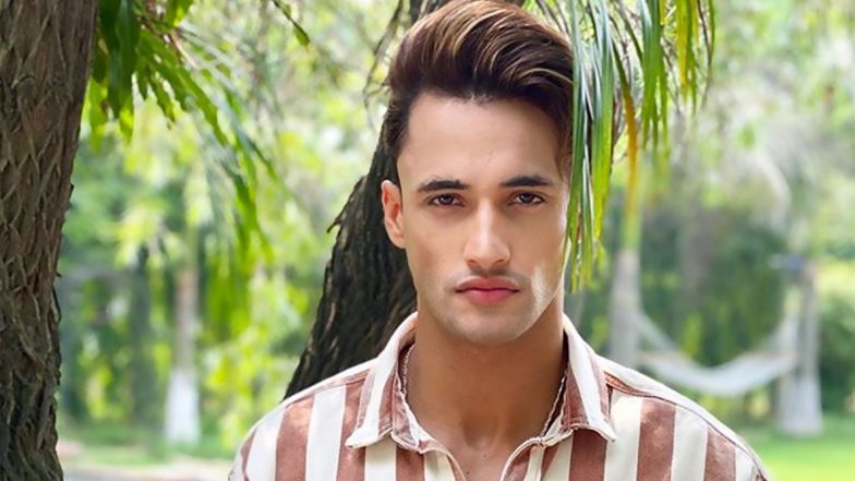 Bigg Boss 13’s Asim Riaz Turns A Year Older Today! Fans Trend #HBDAsimRiaz On Twitter On His 27th Birthday (View Tweets)