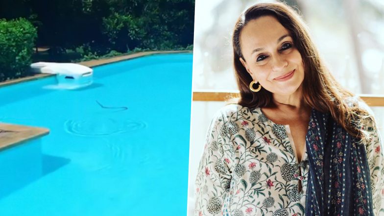 Alia Bhatt’s Mom Soni Razdan Finds a Snake in Her Swimming Pool (Watch Video)