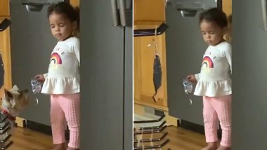 Little Girl Pretends to Be Asleep After She Was Caught Stealing Snacks, Adorable Viral Video Will Make You Go ‘Aww’!