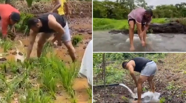 Salman Khan Posts Video of Rice Plantations