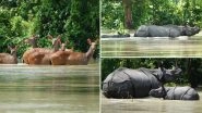 Assam Floods: 80% of Kaziranga National Park Submerged in Water, Heartbreaking Pics and Videos Show Rhinoceros & Other Animals Trying to Escape the Waterlogged Region