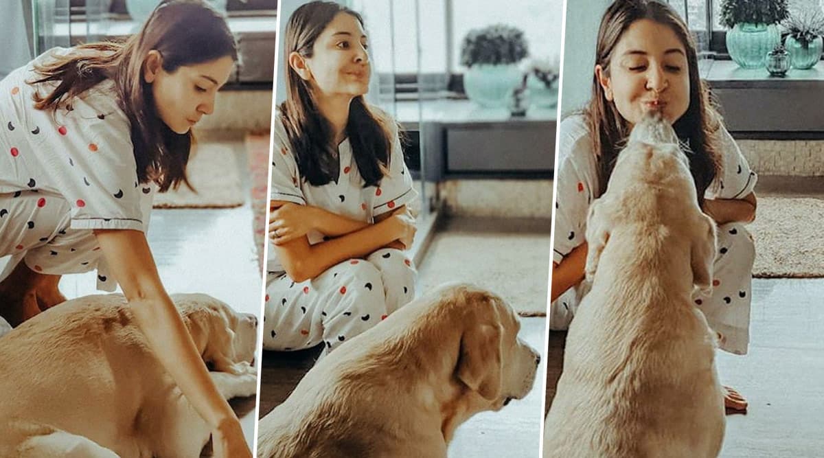 మనుషుల కంటే కుక్కలే బెటర్.. అంటున్న హీరోయిన్స్ ఎవరో తెలుసా?? 4 Anushka Sharma Shares Cute Pics with Her Doggo While Practising Oil Pulling! Know More About Kavala or Gundusha, Types of Beneficial Oils and Benefits of the Ancient Ayurvedic Practice | 🍏 LatestLY