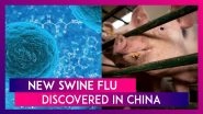 New Swine Flu Discovered In China With Pandemic Potential, All You Need To Know
