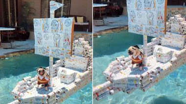 Best Out of Waste! YouTuber Taylor Hancock Uses His Quarantine White Claw Empty Cans to Build ‘Pirate Ship’ for His Dogs (Watch Adorable Video)