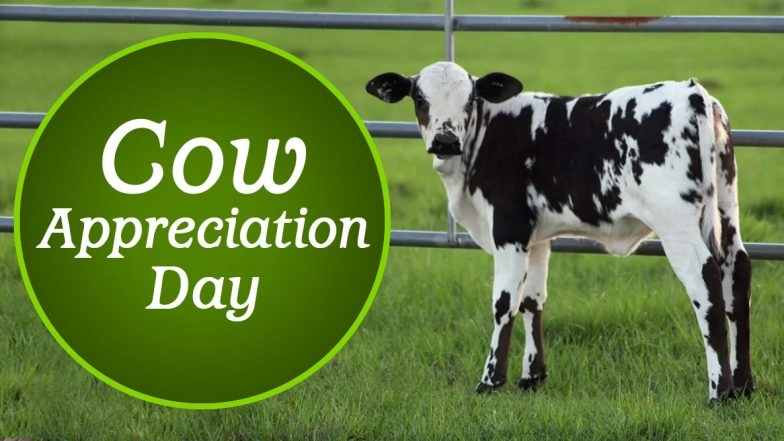 Cow Appreciation Day 2020: Date, History and Significance of the Day on Which People Dress Up Like Cows for Free Food