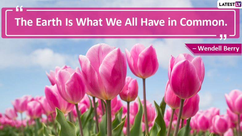 World Nature Conservation Day 2020 Quotes and HD Images: Inspiring Sayings on Nature and Conservation to Remind You How Precious Earth Is