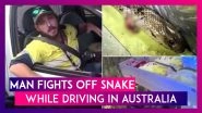 Man Fights Off World&rsquo;s Deadliest Eastern Brown Snake While Driving A Truck In Australia