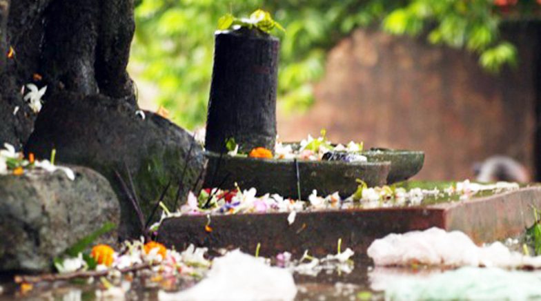 Sawan Somvar Vrat 2020 Vidhi: Fasting for Shravan Somwar? Inauspicious Things You MUST NOT Do