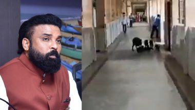 Karnataka: Pigs Roam Freely at Kalaburagi COVID-19 Hospital, Health Minister B Sriramulu Orders Authorities to be Vigilant