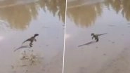 Cute Baby Dinosaur Playing in Puddles is the Best Use of 3D Animation You'll See (Watch Viral Video)