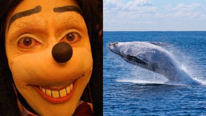 Blue Whale Challenge Surfaces Again, Northants Police in England Issues Warning to Parents Against Dangerous Social Media Challenge That Ends in Suicide