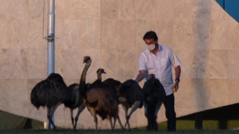 Brazilian President Jair Bolsonaro, Under COVID-19 Quarantine, Bitten Hard by Emu-Like Bird at Presidential Palace