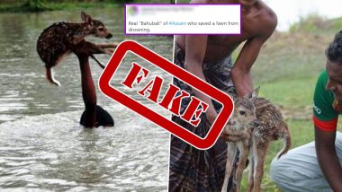 Pictures Claiming Real 'Bahubali' of Assam Who Saved Deer Fawn From Drowning  Are Fake, Know Truth Behind The Viral Pics | 🔎 LatestLY
