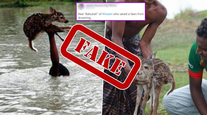 Pictures Claiming Boy Rescuing a Deer Fawn From Assam Floods is Fake, Know The Truth