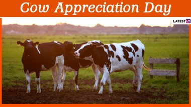 Cow Appreciation Day 2020: 10 Interesting Facts About The Farm Animal That  Are A-MOO-SING! | 🙏🏻 LatestLY