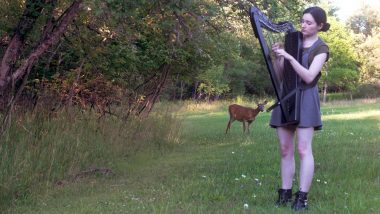 Oh Deer! Woman's Harp Music Session in The Woods Turns Into a Disney Scene After a Deer Approaches Her (Watch Wonderful Video)