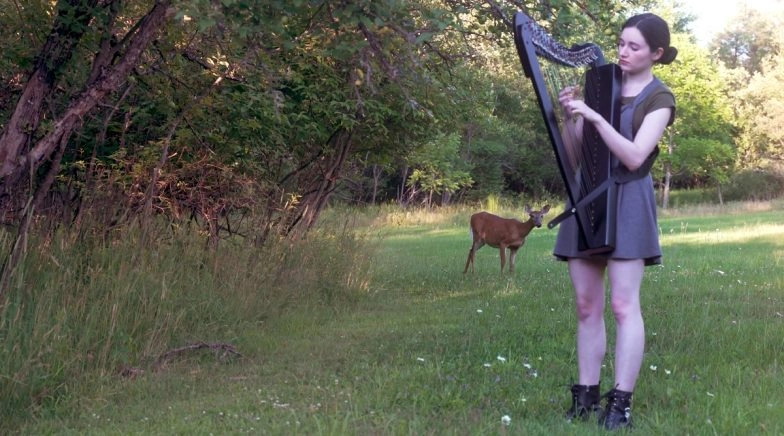 Woman's Harp Music Session in The Woods Turns Into a Disney Scene After a Deer Approaches Her