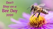 Don't Step on a Bee Day 2020: Avoiding Pesticides to Buying Honey From Local Beekeepers, Easy Ways to Save Honey Bees From From Extinction