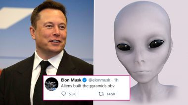 Elon Musk Tweets, 'Alien Built The Pyramids', Netizens React With Funny Alien Life Theories