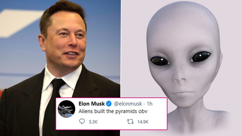 Elon Musk Tweets, 'Alien Built The Pyramids', Netizens React With Funny Alien Life Theories