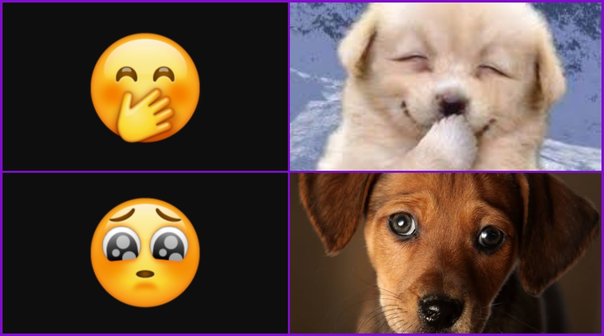 Viral News | Twitter Thread Comparing Emojis to Cute Dog Faces ...