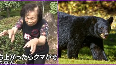 82-Year-Old Japanese Grandma Fight Off Bear in Her Backyard, Sustains Few Injuries on Her Face But Says, 'I Sent Him Flying!' (Watch Video)