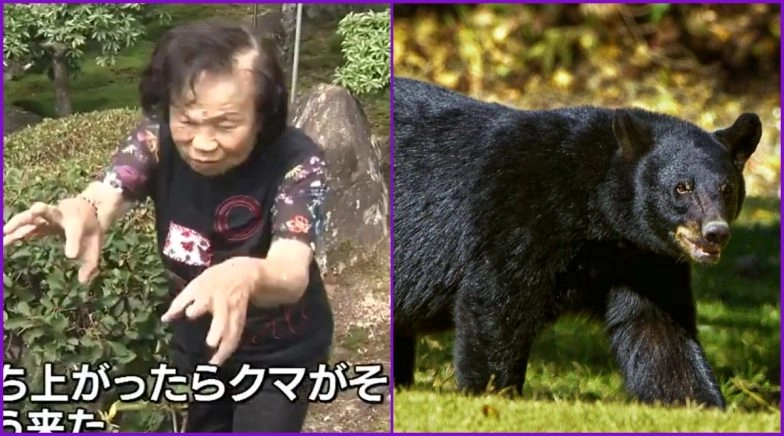 82-Year-Old Japanese Grandma Fight Off Bear in Her Backyard, Enacts It on Video 