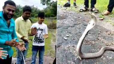 Nag Panchami 2020 Special: Group of Boys Sing 'Happy Birthday' Song to a Cobra Snake and Ask For Party, Funny Video is Going Viral