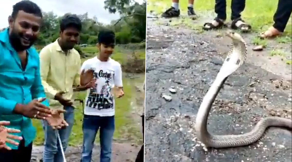 Viral News | Nag Panchami Special: Group of Boys Sing 'Happy Birthday' Song  to a Cobra Snake, Funny Video | 👍 LatestLY