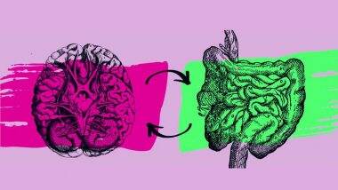 CEO of Nova Mentis, Dr. Aylia Mohammadi Exploring the Gut-Brain Connection in Depression Related to Obesity and Diabetes