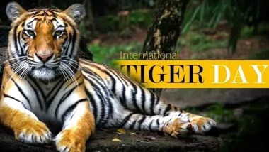 On International Tiger Day 2020, Twitterati Share 'Save The Tiger' Messages With Beautiful Pictures Of The Wild Cats And Pledge For Their Conservation