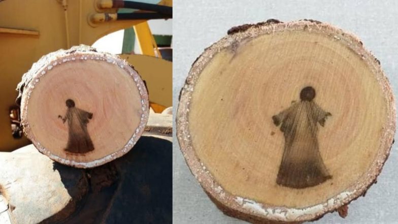 Jesus Christ Image Found Inside Cut Tree Branch in Brazil Goes Viral, Biologist Believes It’s 'Incorrect Perception of Stimulus' (See Pictures)