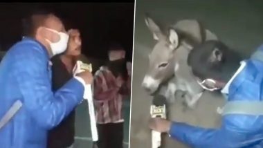 Journalist Takes Funny Interview Of Donkey, Gives Important Message to COVIDIOTS Roaming Outside Without Wearing Facemasks (Watch Video)