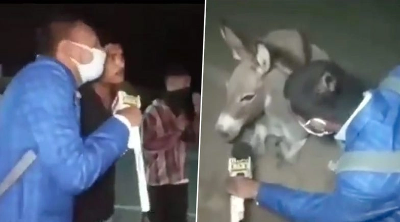Journalist Takes Funny Interview of Donkey, Gives Message to COVIDIOTS Not Wearing Facemasks