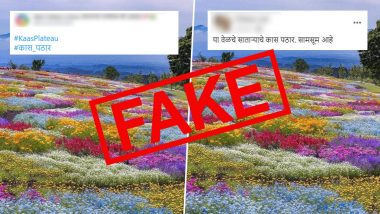 Fact Check: Picture of Kaas Pathar in Full Bloom With No Tourist Intervention is FAKE! Know Truth About The Viral Photo