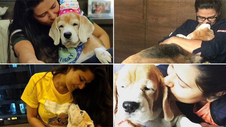Kratika Sengar Dheer Birthday: 7 Moments From the TV Actress’ Instagram Feed That Prove She Is Obsessed With Her Cutie Pooch Donut (View Pics)