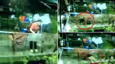 Leopard Kills Dog in Nainital! CCTV Footage Captures Wild Animal Entering House in Uttarakhand And Taking Away Their Family Dog (Watch Scary Video)