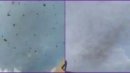 Locust Attack in Lucknow: Twitterati Share Videos of Swarms of Tiddi Dal Seen in UP's Capital City