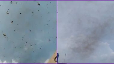 Locust Attack in Lucknow: Twitterati Share Videos of Swarms of Tiddi Dal Seen in UP's Capital City