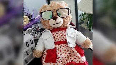 Woman's Stolen Teddy Bear in Vancouver Unites Twitter to #FindMarasBear As it Recorded Last Message Of Her Dead Mom; Ryan Reynolds Offers $5000 to Find It