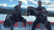 Man Saves Baby Eagle From Drowning in Lake at British Columbia's Invermere Region (Watch Viral Rescue Video)