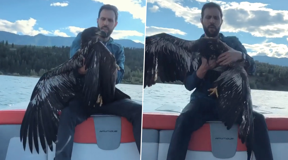 Viral News | Man Saves Baby Eagle From Drowning in Lake at British ...