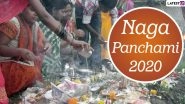 Nag Panchami 2020 Date in Sawan: Know The Significance, Traditions And Celebrations Related to Hindu Festival Worshipping Snakes