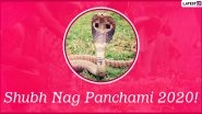 Nag Panchami 2020 Marathi Messages & HD Images for Free Download Online: WhatsApp Stickers, Wishes, Greetings, SMS and Quotes to Celebrate Naga Panchami