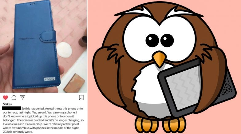 Owl 'Apparently' Drops a Phone in Person's Terrace, Netizens Say It's Call From Hogwarts! 