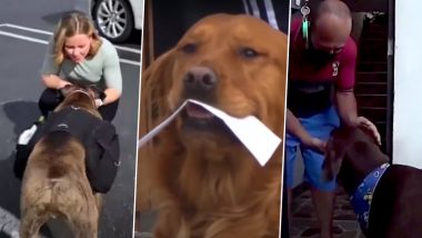 Pet Dogs Become Essential Workers During Pandemic: Pooches Deliver Groceries, Food and Drinks to People and Help Maintain Social Distance (Watch Cute Videos)