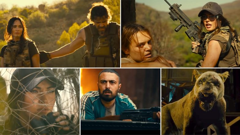Rogue Trailer: Megan Fox's Rescue Mission Soon Turns Deadly, Courtesy Killer Lions (Watch Video)